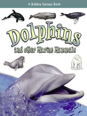 cover image of Dolphins and other Marine Mammals